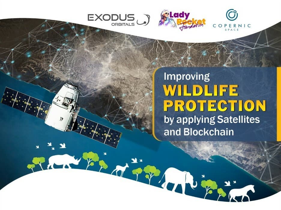 Crypto and Satellite Companies to Support Wildlife Protection Efforts